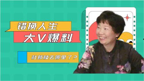 错换人28最新爆料,揭秘真相背后的惊人内幕  第3张